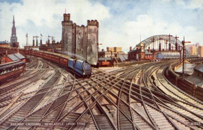 Blue Mallard by English School